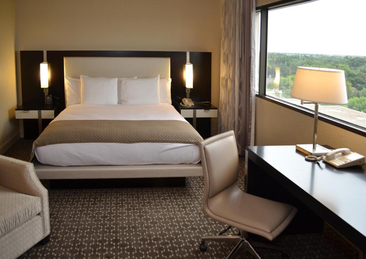 Suite con cama extragrande